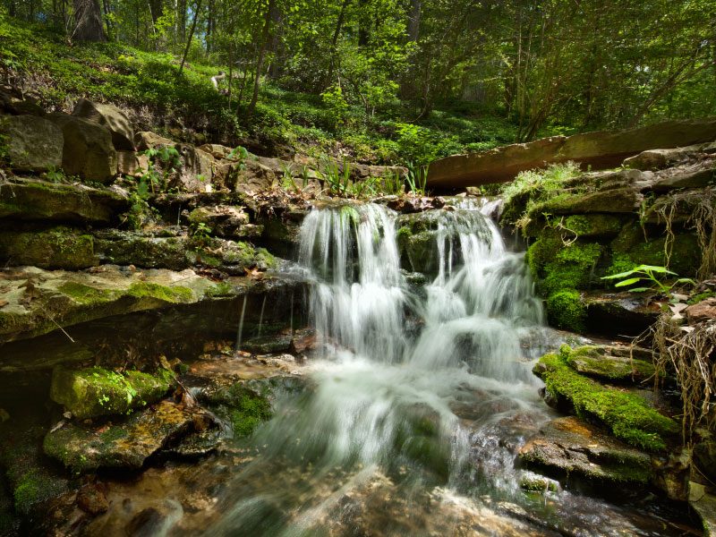Crystal Spring Water Source - Pure Natural Spring